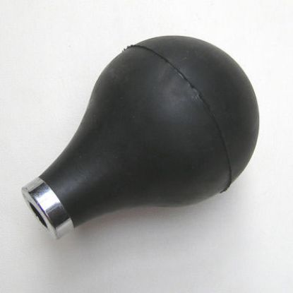 Picture of Horn Bulb