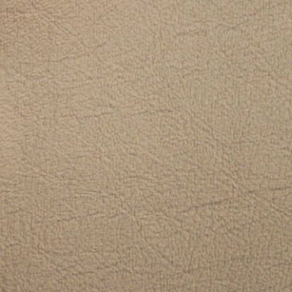 Picture of Special Jaguar Vinyl - Beige