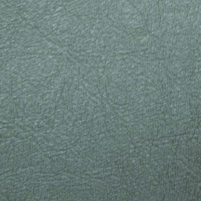 Picture of Special Jaguar Vinyl - Suede Green