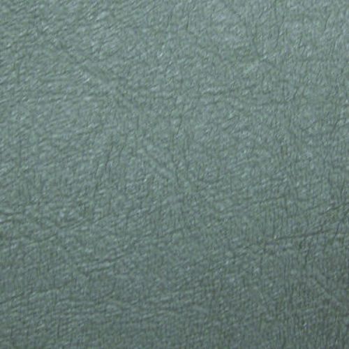 Picture of Special Jaguar Vinyl - Suede Green