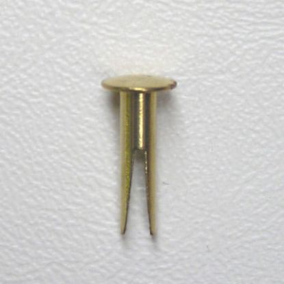 Picture of Bifurcated Brass Plated Rivets