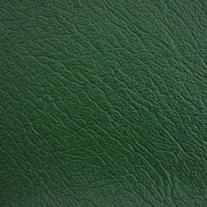 Picture of Leathercloth - Green