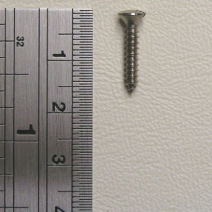 Picture of Self Tapping Screws