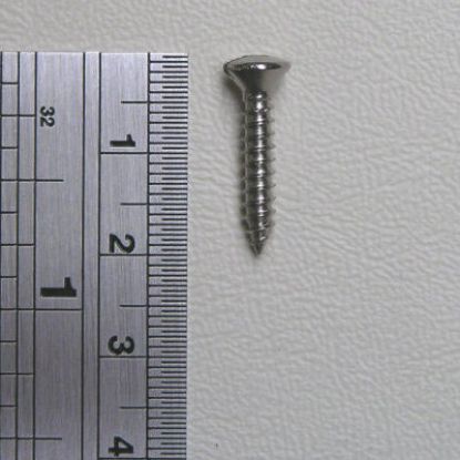 Picture of Self Tapping Screws