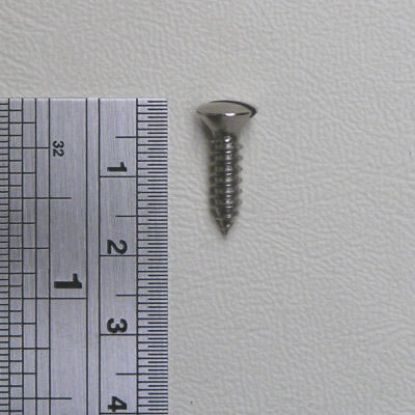 Picture of Self Tapping Screws