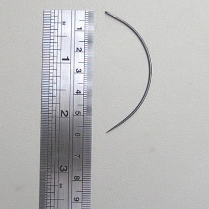 Picture of Upholstery Needle