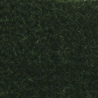 Picture of Carpet - Green