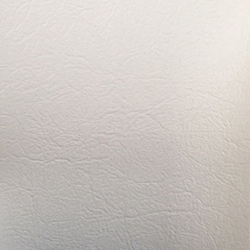 Picture of Special Jaguar Vinyl - White